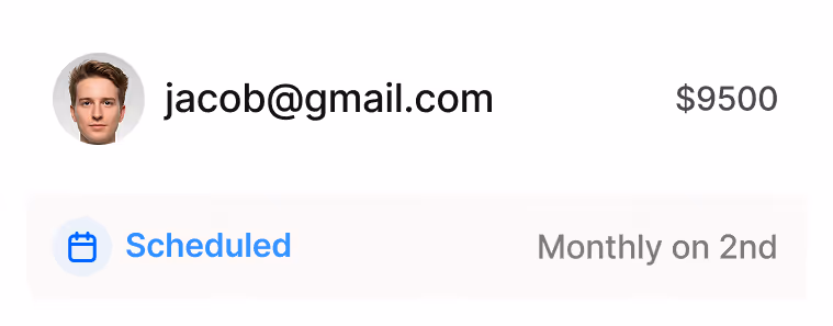 Schedule payment